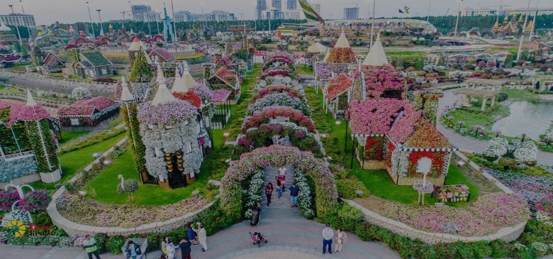 Dubai Miracle Garden